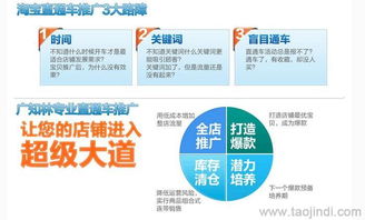 天貓店鋪推廣與運營全攻略 裝修、拍照、產品描述與軟件開發價格解析