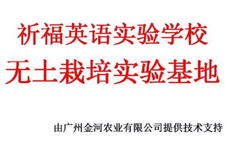 校企攜手，共繪軟件技術教育新篇章